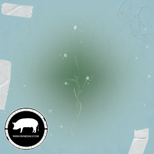 [Swine Guest Mix] PIT - Hybridization Tales Background