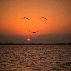 Sidnaaz_Mashup_(Tribute)_|_Sidharth_Shukla,_Shehnaaz_Gill_|_Ft._Darshan_Raval,_Vishal