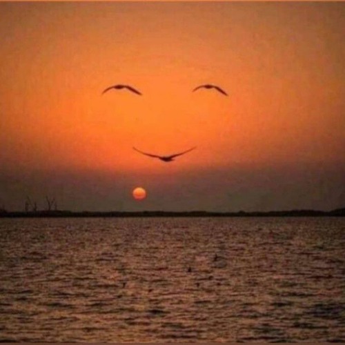 Sidnaaz_Mashup_(Tribute)_|_Sidharth_Shukla,_Shehnaaz_Gill_|_Ft._Darshan_Raval,_Vishal