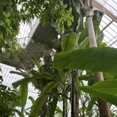 PVRIS - My House (REMIX)