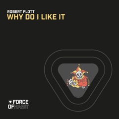 Robert Flott - Why Do I Like It