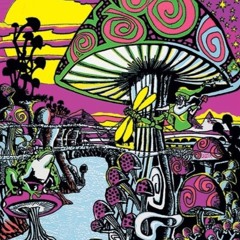 Acid Trippin' at the Summit (w/vocals)