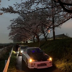 chamomile w/ MORIMANE