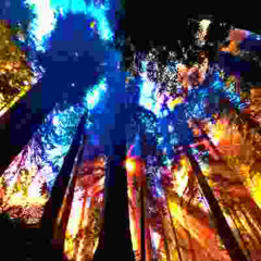 dddream