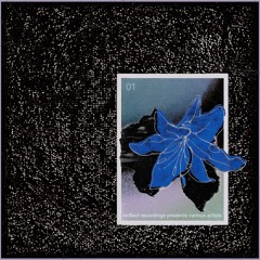 Premiere | Saurio - Pattern 31 [REVA01]