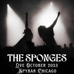 The Sponges 10-28-23 Live at Spybar Chicago