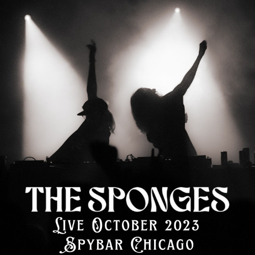 The Sponges 10-28-23 Live at Spybar Chicago