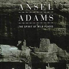 Read EPUB KINDLE PDF EBOOK Ansel Adams: The Spirit of Wild Places (American Artists)