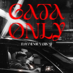 FloyyMenor ft. Cris MJ - Gata Only (Slowed + Reverb)