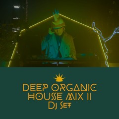Deep Organic House Mix 2 - Dj Set @ Mojo Dojo Techno House, Guadalajara