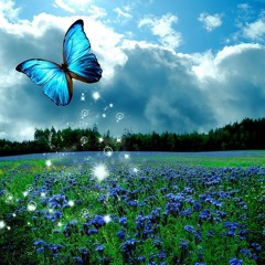 Butterfly Effect(Tricky) ft ISM prod. engless