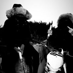 l'araignée784 TORAH (exclu)