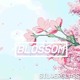 on blossom