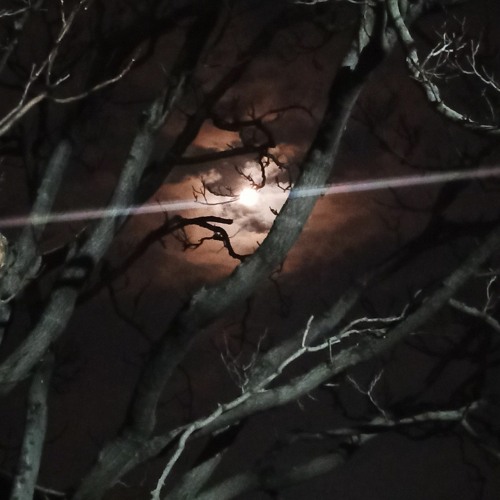 MUD MUD KE - Tony Kakkar_ Neha Kakkar _ Michele Morrone _ Jacqueline Fernandez _ Anshul Garg(MP3_320