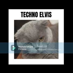 TECHNO ELVIS
