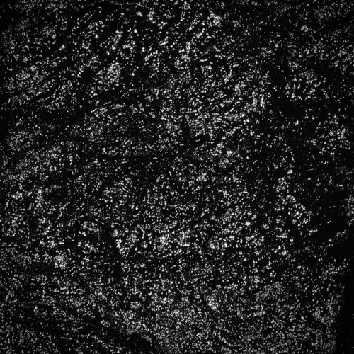 KLA // Jon Patch Live Set [nature industries]