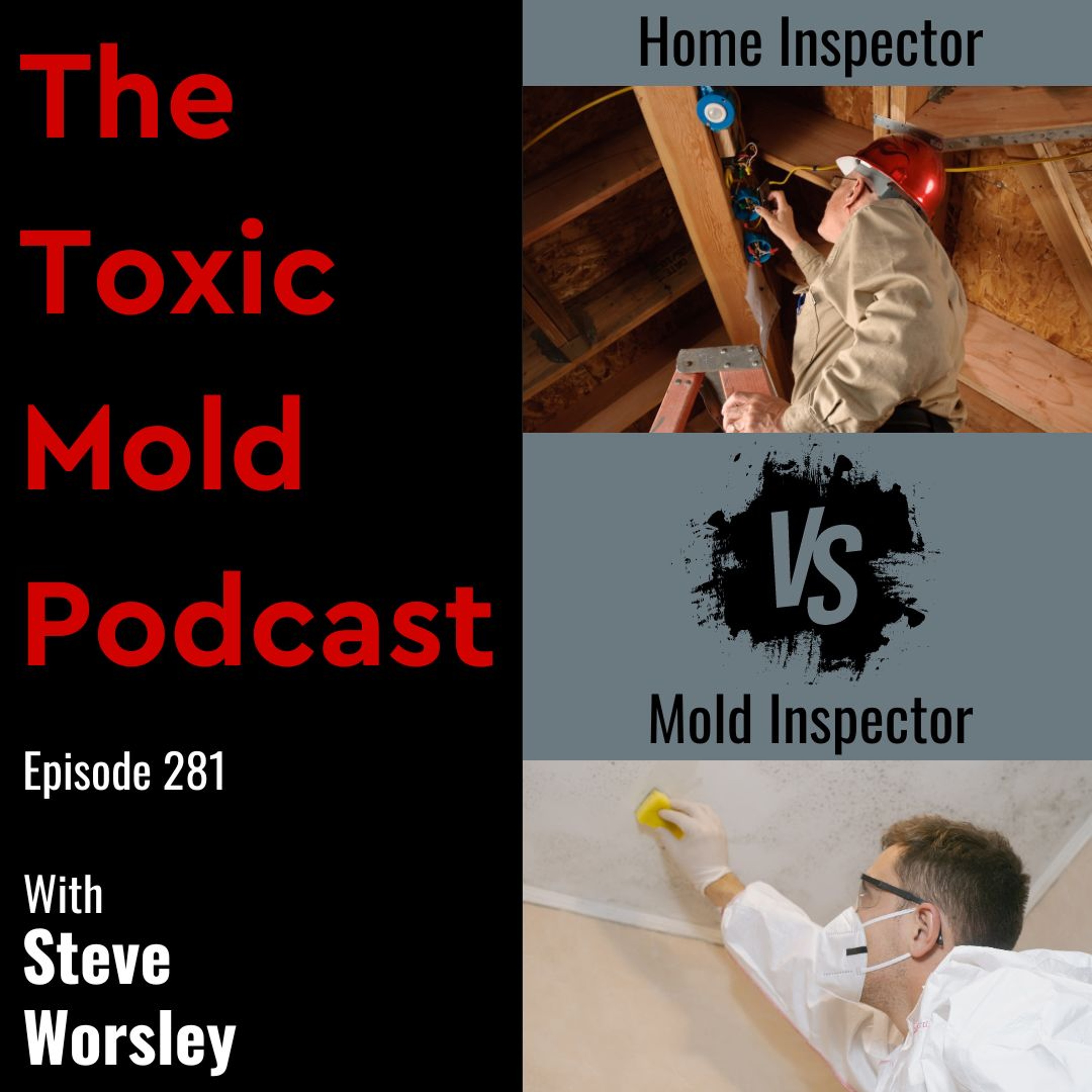 The Toxic Mold Podcast