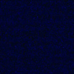 POP MY SHIT (CAMERA FREESTYLE VERS)