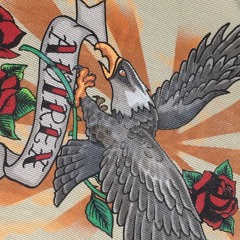 zrgg - telebisyon (raw)