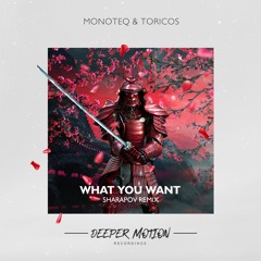 Monoteq & Toricos - What You Want (Sharapov Remix)