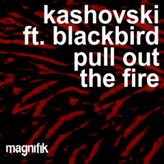 Pull Out The Fire (feat. blackbird)
