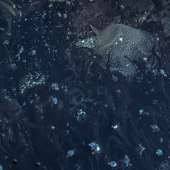 DepthTopograhies
