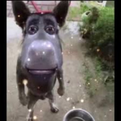 60k by bloodhound q50 but louder