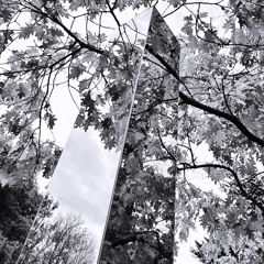 Sòlas - Trinity