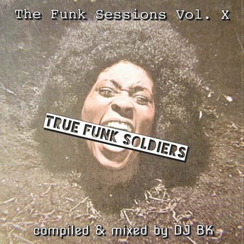 Funk Sessions Vol. X - True Funk Soldiers