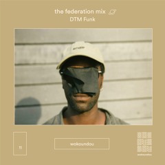 the federation mix 11 - DTM Funk
