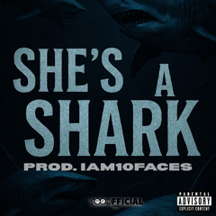 HOGZ - SHES A SHARK