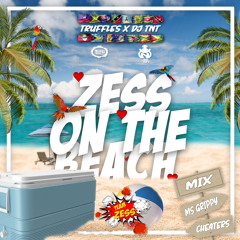 ZESS ON THE BEACH /@itstruffle_   @iamdjtnt