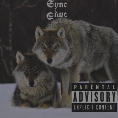 $pace Cowboii (feat. 39tharchitect) - SYNC