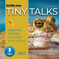 Turtlezone Tiny Talks - Wie gefährlich ist die Hitze im Süden?