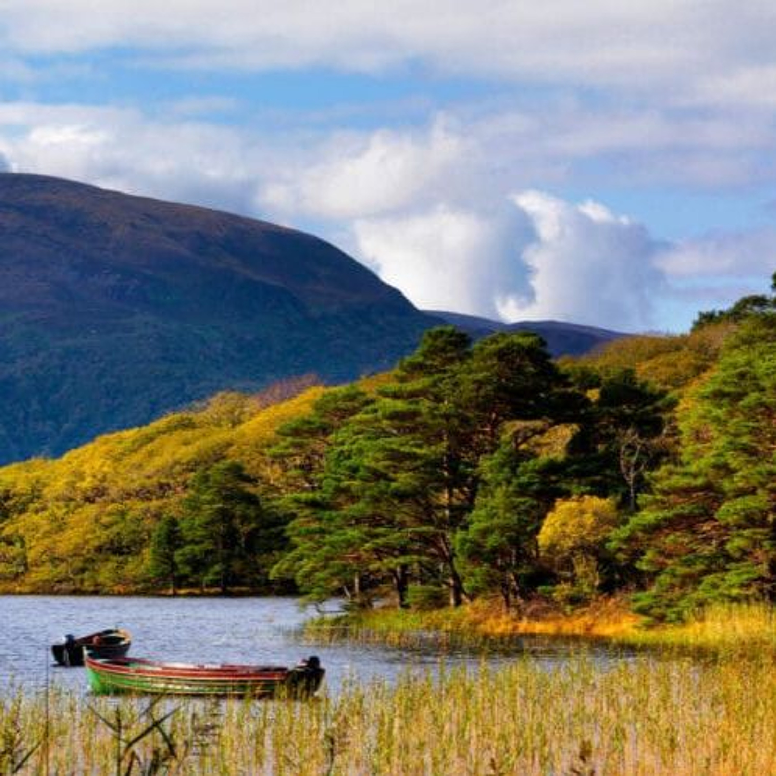 Peche en irlande