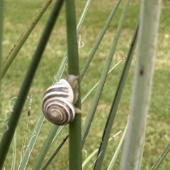 Spring was hard this year.m4a