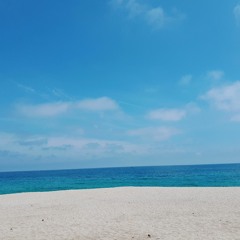 trip - 릴러말즈(Leellamarz) Feat. Hannah / HONY cover