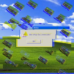 Pitty - Adimirável Chip Novo (AGOSTODE2002 Bootleg)