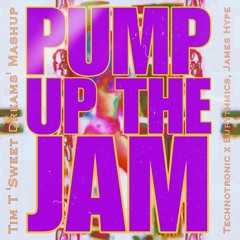 Pump Up The Jam (Tim T 'Sweet Dreams' Mashup)