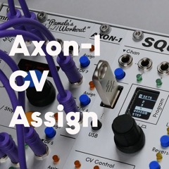 Axon-1 CV Assign