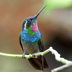 LiL Kim "The Jump off" Edit