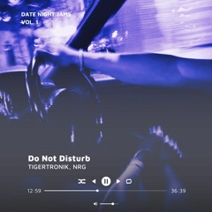 Do Not Disturb Vol. 1 | Punjabi & Hip Hop - Date Night Jams | TIGERTRONIK & NRG