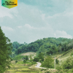 Bodhi, Chill Yume - Rice Paddy