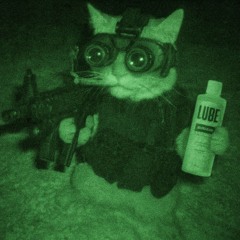 Epstein Island Night Raid