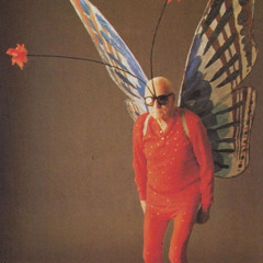 •Bouncy Butterfly•