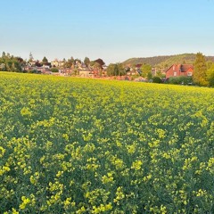 Longhaul 023 - London Modular Alliance