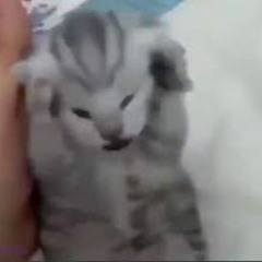 A A A A A A A A A A A A A A A A A A A A A A A A A A A A A A A A A A A A A A A A A A A A A A A A A A