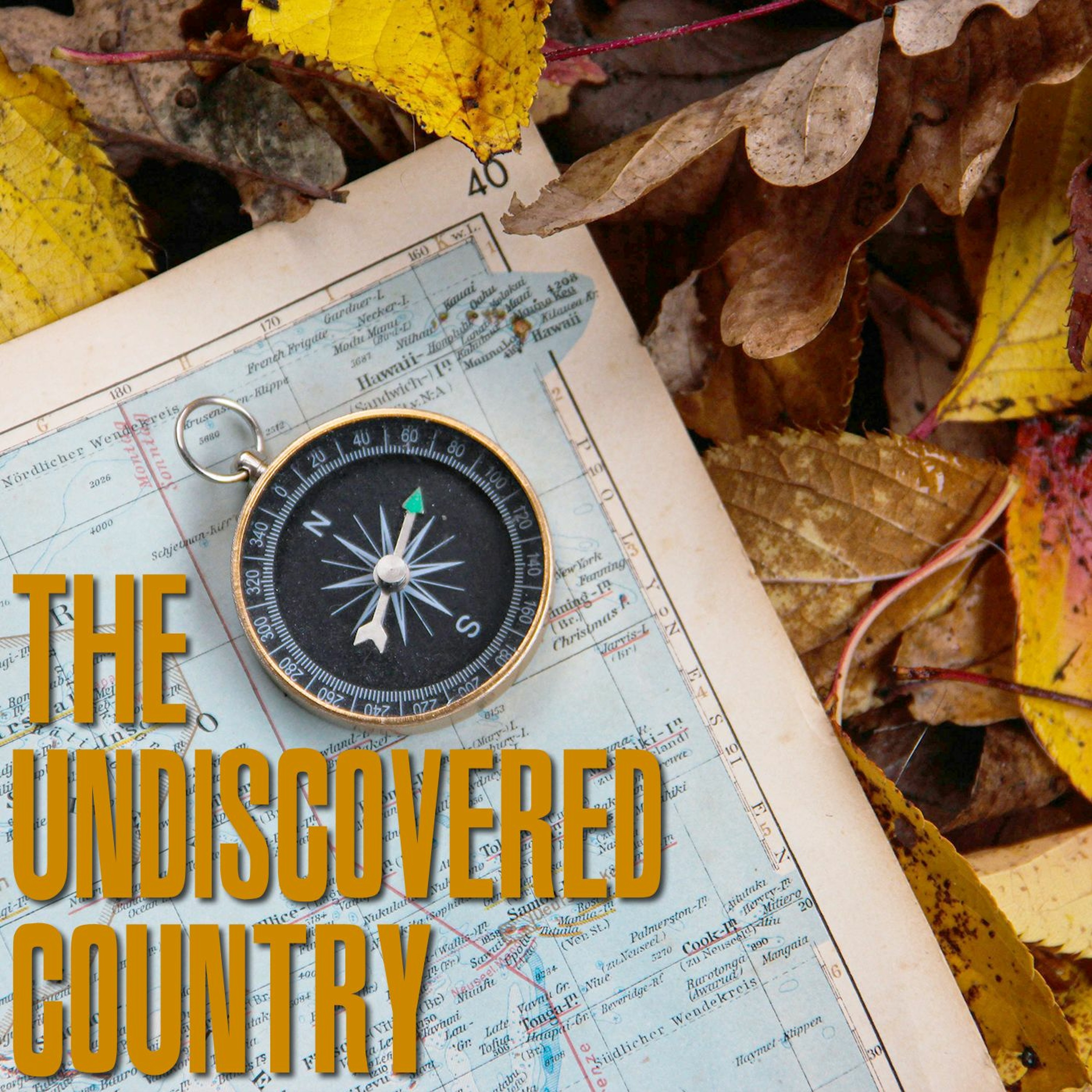 The Undiscovered Country episode artwork