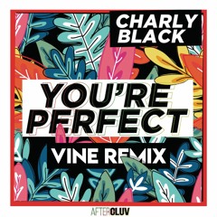 Charly Black - You're Perfect (VINE Remix)