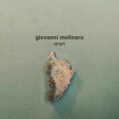 Giovanni Molinaro - Apogée (toulouse010)